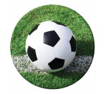 Sports Fanatic Soccer 9" Paper Plates (8pcs/pkt)